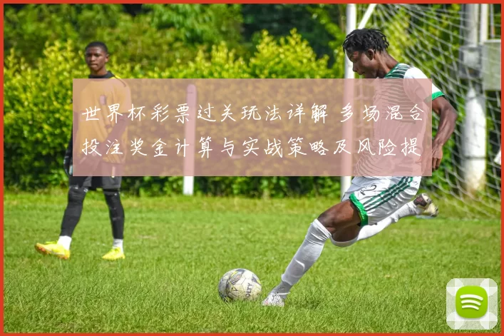 世界杯彩票过关玩法详解 多场混合投注奖金计算与实战策略及风险提示