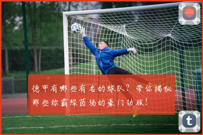德甲有哪些有名的球队？带你揭秘那些称霸绿茵场的豪门劲旅！