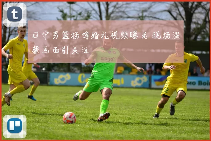 辽宁男篮杨鸣婚礼视频曝光 现场温馨画面引关注