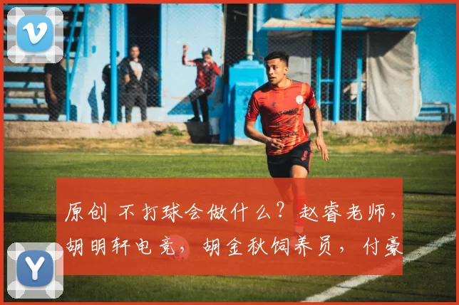 原创 不打球会做什么？赵睿老师，胡明轩电竞，胡金秋饲养员，付豪务实