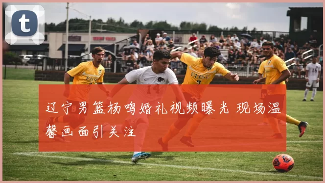 辽宁男篮杨鸣婚礼视频曝光 现场温馨画面引关注