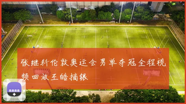 张继科伦敦奥运会男单夺冠全程视频回放王皓摘银